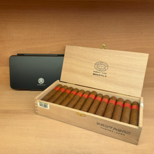 帕特加斯D5 SERIE D NO.5